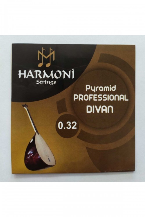 Divan Saz Teli 0,22-