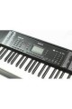 Nem-3100 61 Tuşlu Tuş Hassasiyetli Org (adaptör Hediyeli)