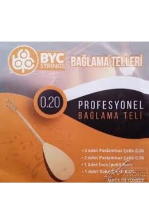 Saz Teli (uzun Sap 0.20)
